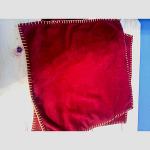 Velvet Pillow Covers set of 2